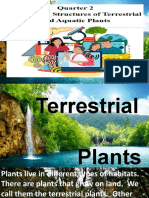 EDITED Structure of Plants