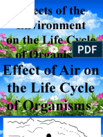 Effects of the Environment