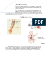 Perbedaan Injeksi IV Ic SC Dan Im Secara Mendasar PDF Free