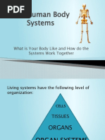 11 Human Body System | PDF | Human Body | Blood