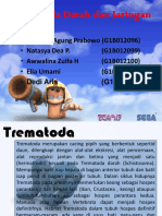 Trematoda