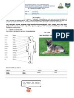 Ficha de Trabajo 2° AÑO A