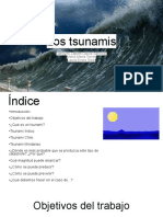 Riesgos Naturales - Tsunamis