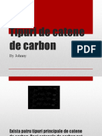 Tipuri de Catene de Carbon