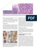 Fletcher - Diagnostic Histopathology of Tumors, 4th Edition (Dragged)