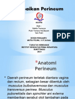 Perbaikan Perinium