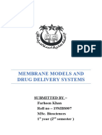 Membrane Models and Drug Delivery Systems