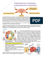 Bioquimica 2-TEMA 13