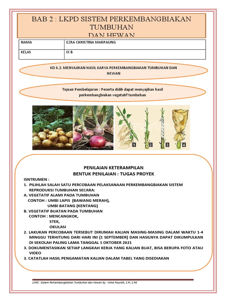 Gambar LKPD Penilaian Keterampilan