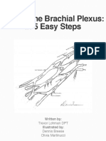 (ANA) Brachial Plexus Ibook