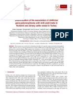 GHR Polymorhism With Milk Yield Traits in Jersey and Holstein in Turkey