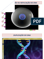 Recapitulando Dna, Rna e Sintese Proteica