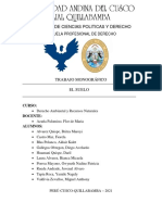 Monografia Derecho Ambiental y Recursos Naturales - Grupo 2 El Suelo
