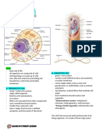 Structural Components of Cell