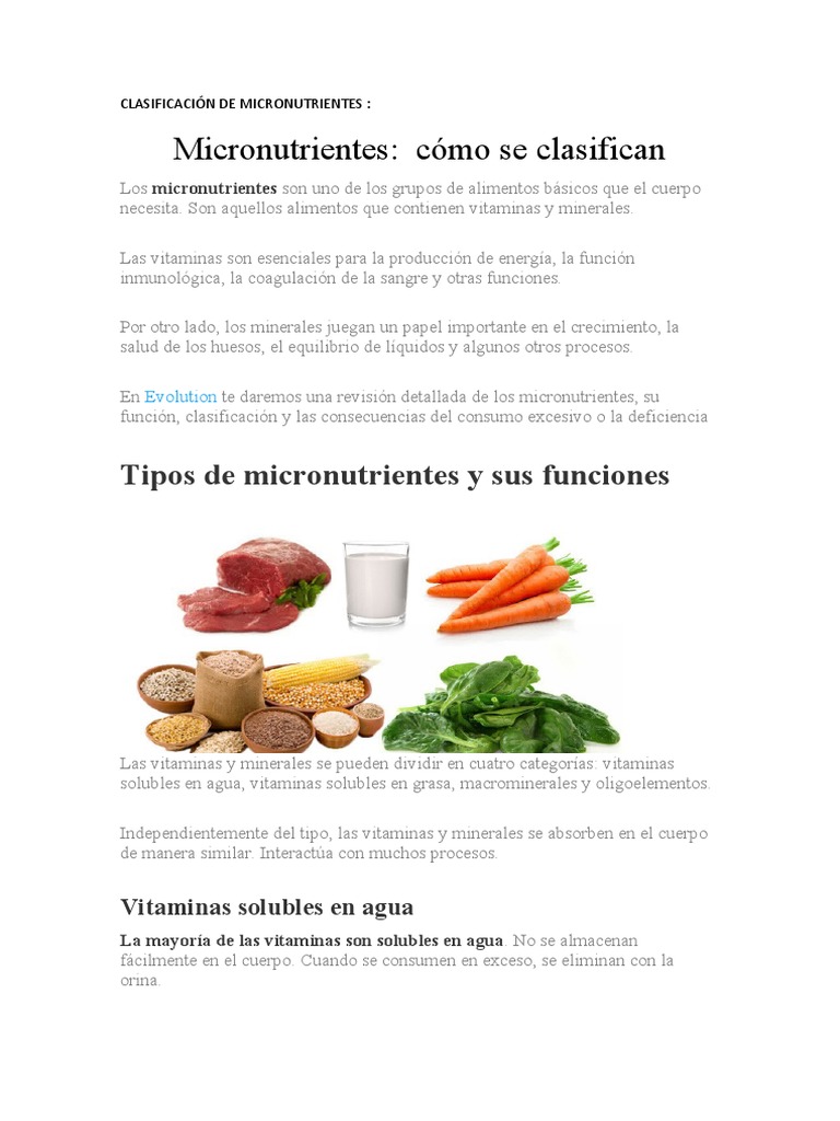 Clasificacion de Micronutrientes | PDF | Vitamina | Metabolismo