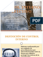 Control Interno de Efectivo