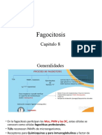 Resumen Fagocitosis - Capitulo 8