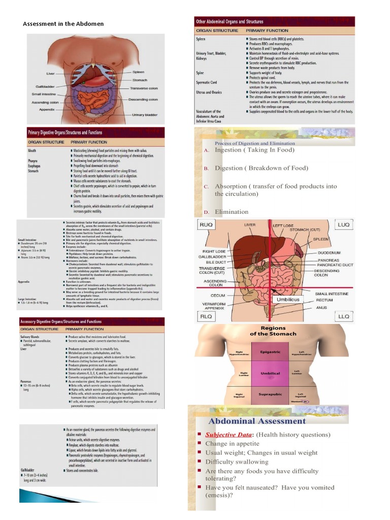 Abdominal Examination Techniques | PDF | Abdomen | Clinical Medicine