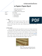 Laporan Kegiatan - Perawatan Di Persemaian - Perawatan Di Bedengan - Pemasangan Mulsa - Praktikum11April2021