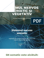 Sistemul Nervos Somatic Și Vegetativ