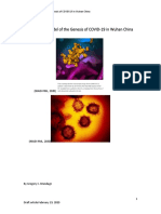 Probability Model of COVID-19 Genesis in Wuhan