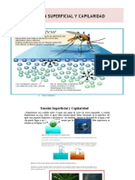CAPILARIDAD