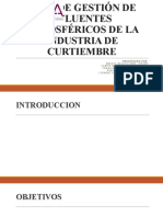 Grupo 7 Plan de Gestion de Efluentes Atmosfericos Curtiembre