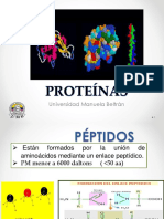 23.proteinas