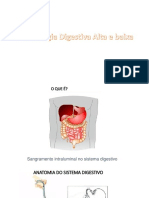 Sangramento digestivo: classificação e tratamento da hemorragia alta e baixa