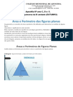 Geometria - Area e Perimetro Dos Poligonos