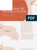 Captura y rehabilitación de pumas