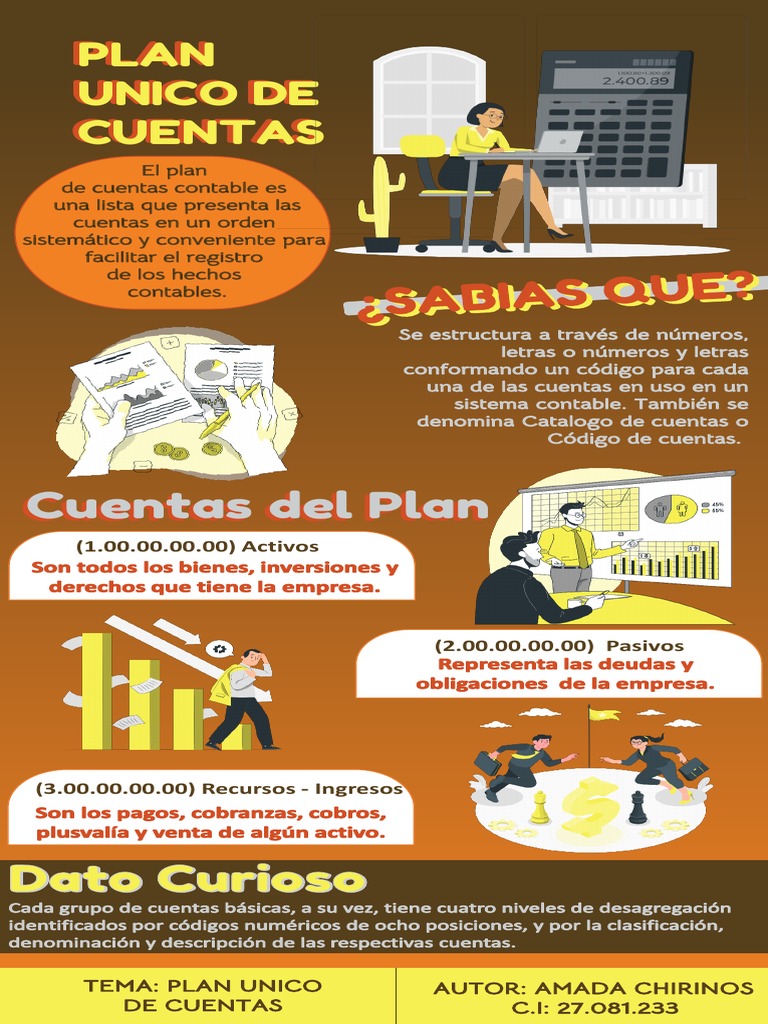 Infografia Plan Unico de Cuentas Ac | PDF | Negocios | Informática
