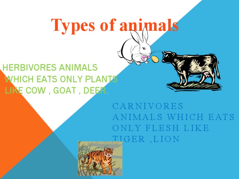 Herbivores and Carnivores Explained | PDF