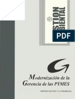 Modernizacion Gerencia PYMES Gestion Ambiental