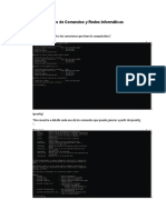 Ejercicio de Comandos y Redes Informáticas