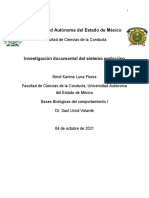 Investigación Documental Del Sistema Endocrino