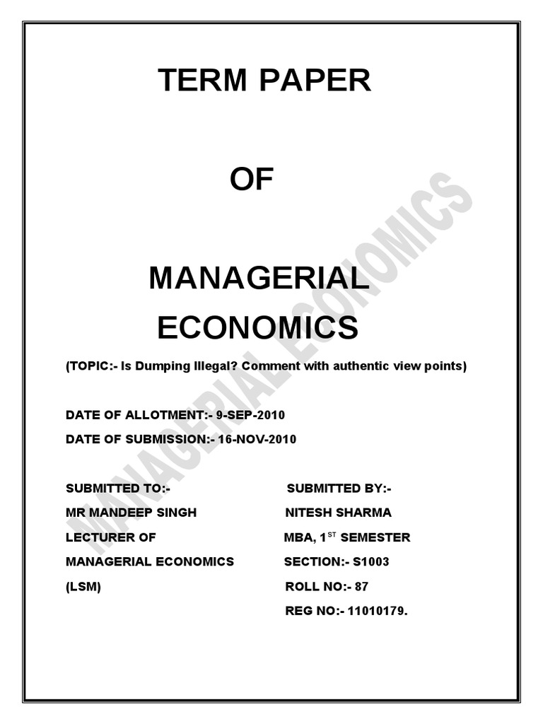 term paper on economics