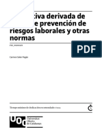 Normativa Derivada de La Ley de Prevención de Riesgos Laborales y Otras Normas