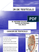 16 Cancer Testiculo