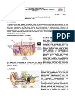 Anexo 8° # - Taller de Organos de Los Sentidos