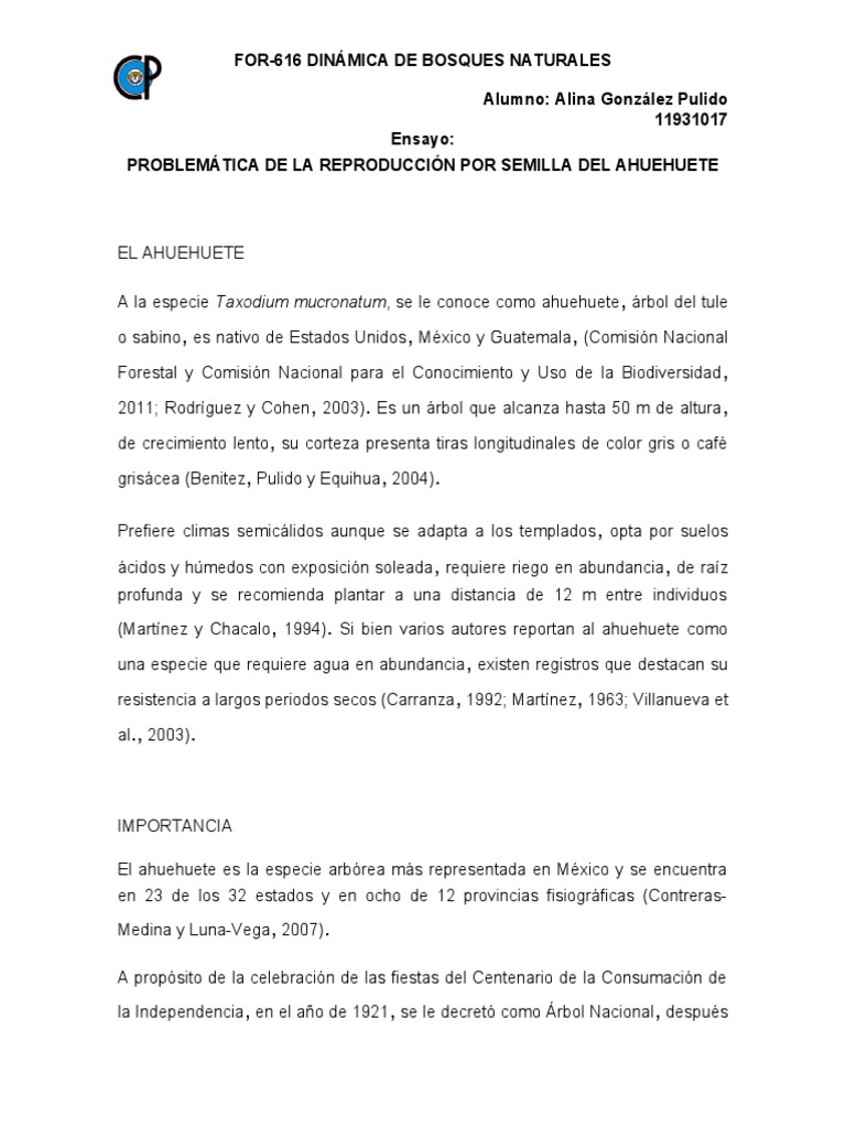 Ensayo Semilla Ahuehuete | PDF | Germinación | Arboles