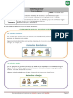 Ciencias Primer año