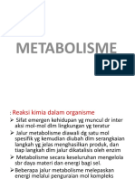 7 - Metabolisme