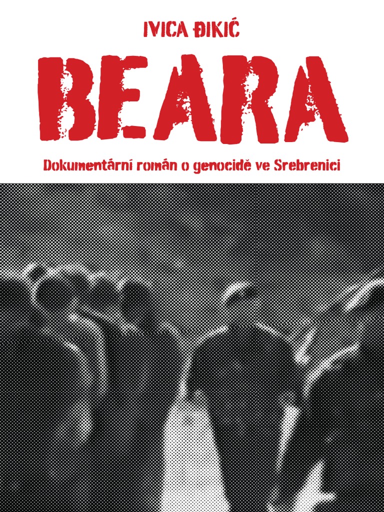 Bea Ra: Ivica Đikić | PDF