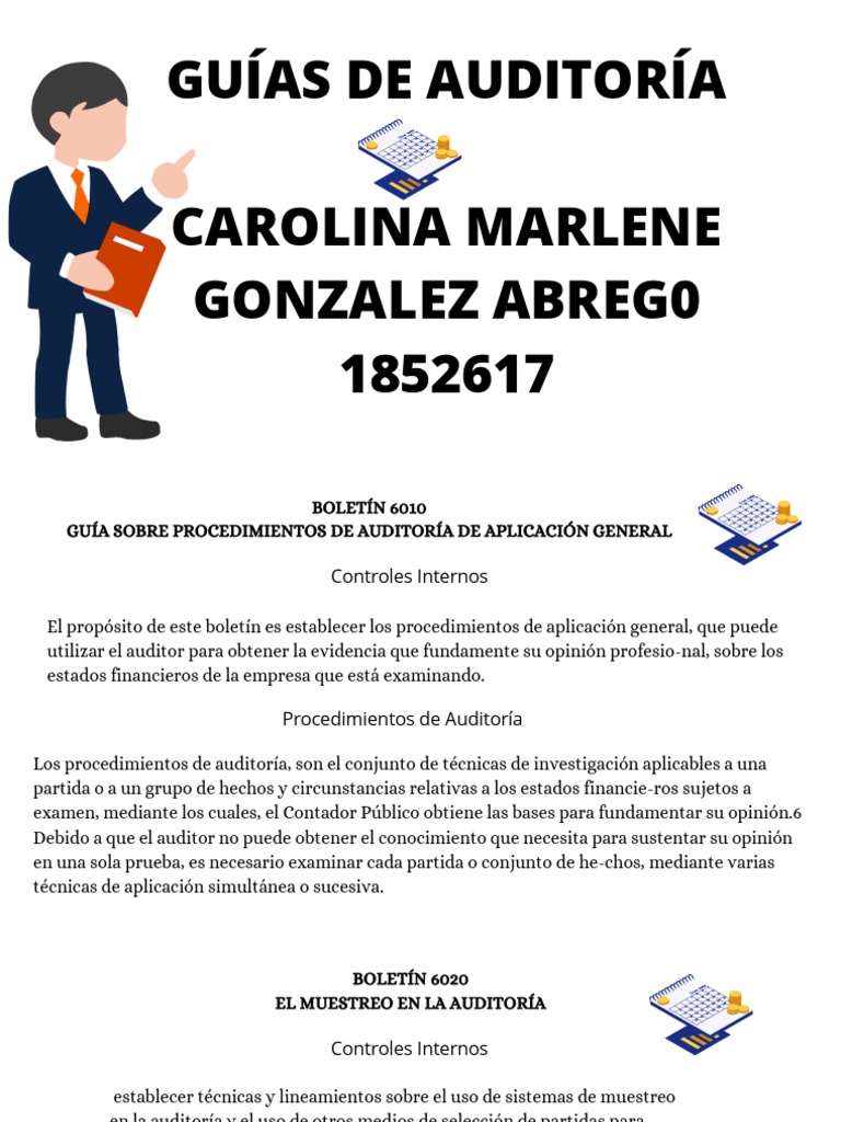 Guía de Procedimientos de Auditoría | PDF | Auditoría | Contralor