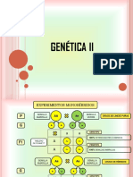 Genetica II
