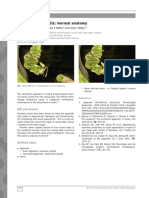 Vermiform Appendix: Normal Anatomy: Hao Xiang, Jason Han, William E Ridley and Lloyd J Ridley