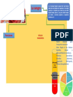 Mapa Conceptual Sangre