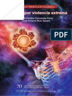 Lesiones Por Violencia Extrema