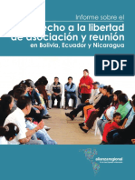 Informe El Derecho a La Libertad de Asociacion y Reunion en Bolivia Ecuador y Nicaragua